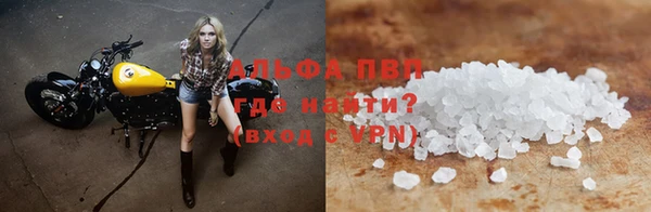 дживик Белокуриха