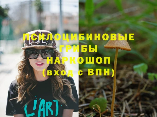 ешки Беломорск