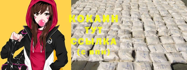 дживик Белокуриха